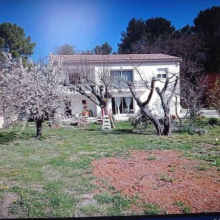 La Maison De Papou La Vigne A Nans Les Pins 83860 Zewnętrze zdjęcie