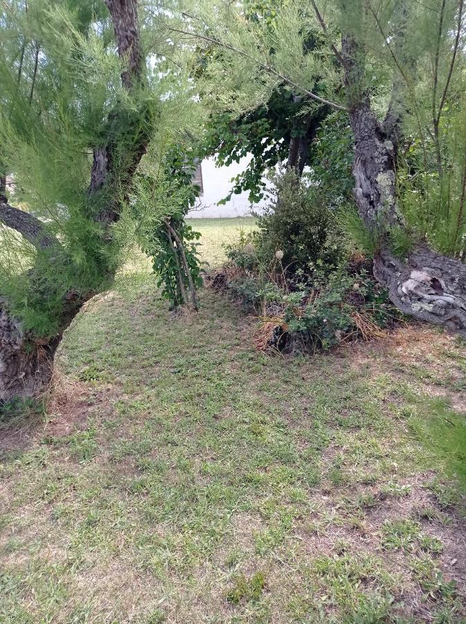 La Maison De Papou La Vigne A Nans Les Pins 83860 Zewnętrze zdjęcie