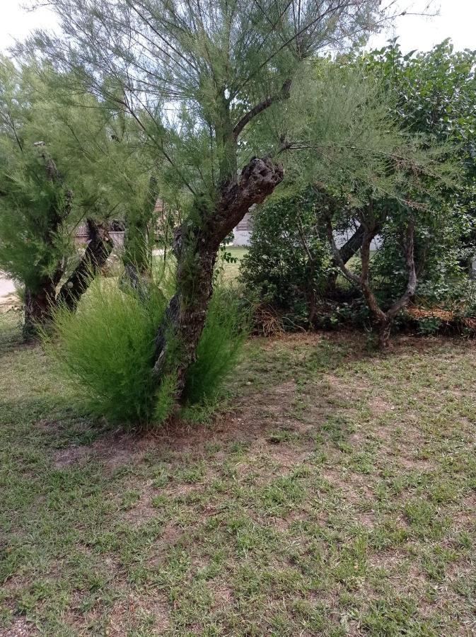 La Maison De Papou La Vigne A Nans Les Pins 83860 Zewnętrze zdjęcie